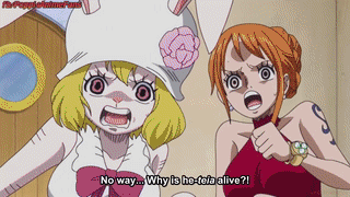Perospero Is Alive Survived Pedro S Bombs Explosion One Piece Ep 850 On Make A Gif