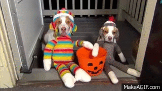 Dogs in Halloween Costumes: The Absolute Cutest and Funniest GIFs