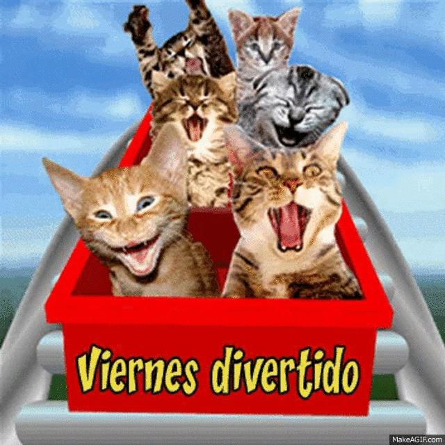 viernes divertido on Make a GIF