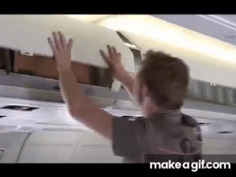 funny airplane animated gif