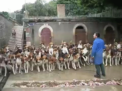 https://i.makeagif.com/media/10-25-2015/0-wwi3.gif