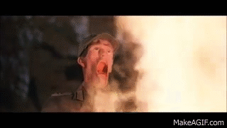 Animated GIF of a scene from Indiana Jones: Raiders of the Lost Arc where the bad guys' faces are melting off having just looked into the freshly-opened ark.