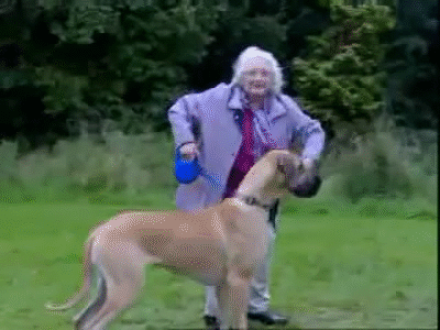 flying granny THE REMIX on Make a GIF