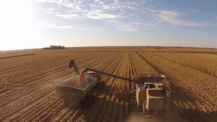 Bristle Farm Corn Harvest. Amazing drone footage. Watch the whole process!  on Make a GIF