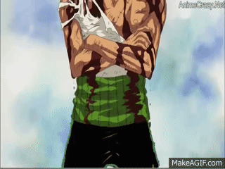 Roronoah Zoro Take All Pain From Luffy In One Piece 377 On Make A Gif
