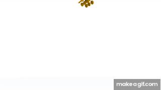 falling coins animation gif