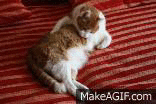 Boss is Licking on Make a GIF