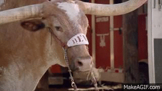 Bevo on Make a GIF