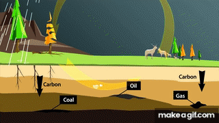 The carbon cycle on Make a GIF