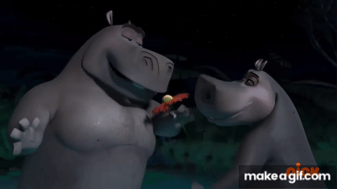 Madagascar2 Gloria-Melman-MotoMOto 