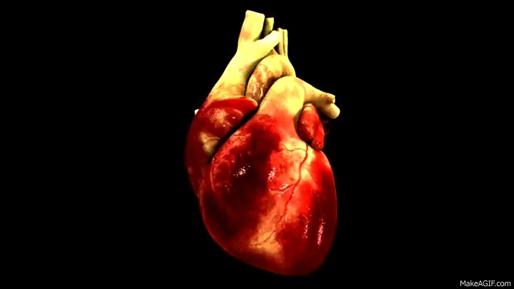 3D heart animation on Make a GIF