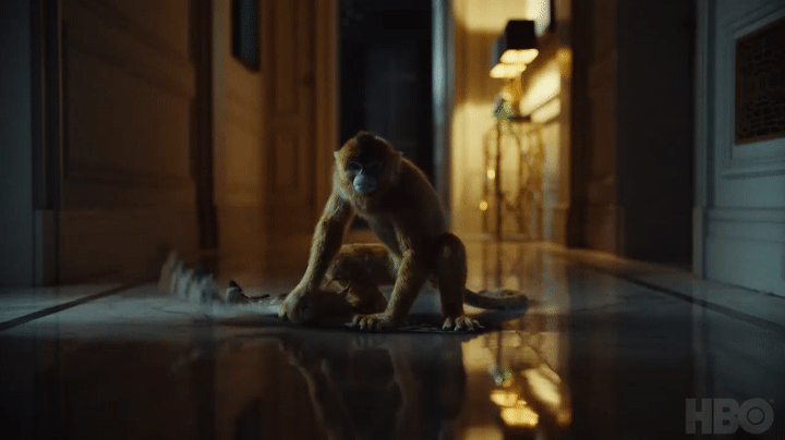 His Dark Materials: Season 1 | Official Trailer | HBO on Make a GIF
