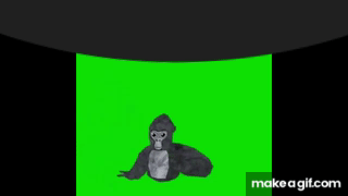 dancing gorilla gif