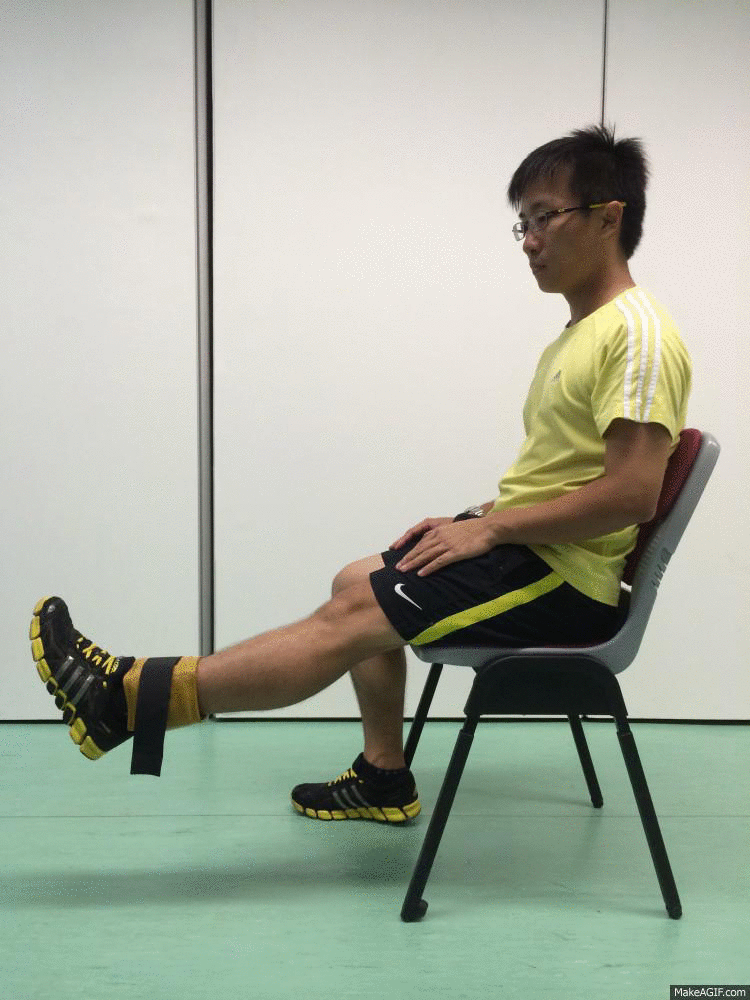 Leg Extension Exercise Gif