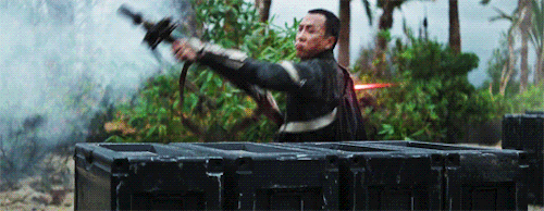mz-jnc.gif