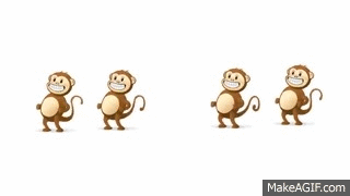 dancing monkey gif