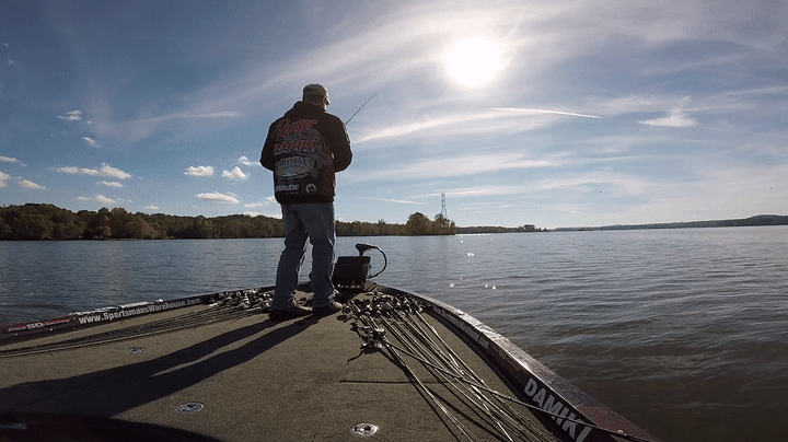 best hooks for shiner fishing Shiner Rig  Rebel Fishing Alliance