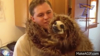 Funny and cute sloth videos compilation on Make a GIF Funny and cute sloth videos compilation on Make a GIF