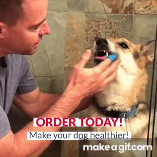 Soft Finger Pet Toothbrush on Make a GIF