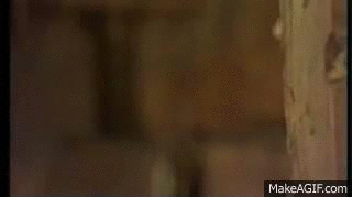 First time i try anal. on Make a GIF