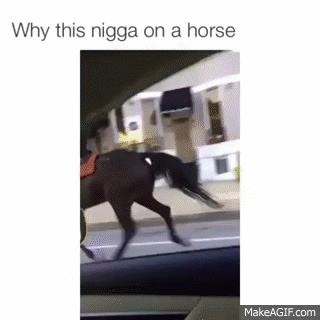 This Nigga Riding A Horse on Make a GIF