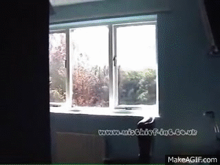 throwing computer out window gif