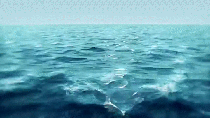 Proshow Producer - Background Video 3D Ocean Wave Animation on Make a GIF.