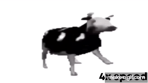 dancing cow animated gif