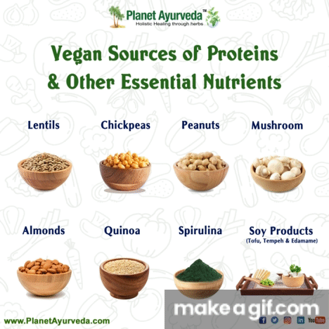 Vegan Sources of Protein & Other Nutrients on Make a GIF