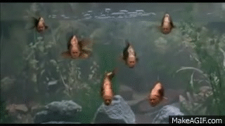 Monty Python's Fish Tank.flv on Make a GIF