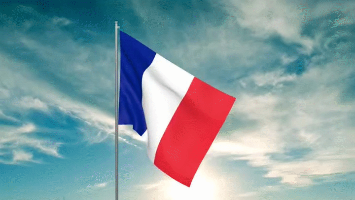 France GIF - Find & Share on GIPHY