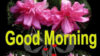 Good Morning Flowers On Make A Gif