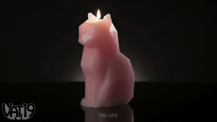 PyroPet: Candle with a Skeleton on Make a GIF.
