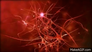 Neurons Firing Gif Neuronal GIFs Get The Best GIF On GIPHY