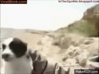 dmfdyX.gif