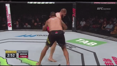 Fabricio Werdum vs Marcin Tybura [FIGHT HIGHLIGHTS] on Make a GIF