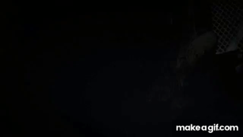 [Music] Left 4 Dead 2 - Dark Carnival on Make a GIF