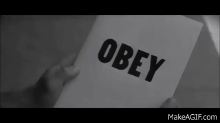 dC4oLq.gif