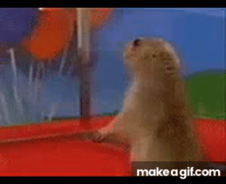 aosjGU.gif