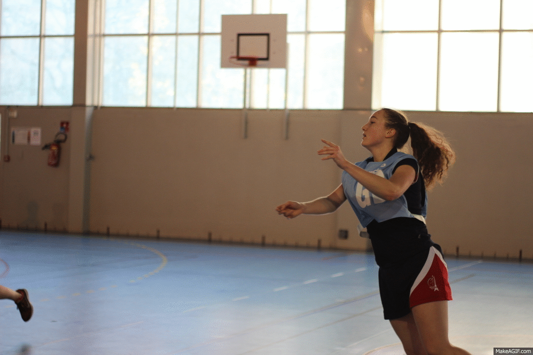 Netball rules! on Make a GIF