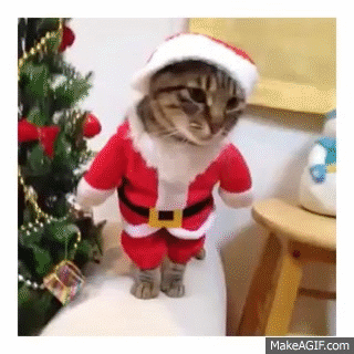 Le Chat Noel On Make A Gif