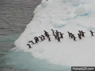 WCH8KP.gif
