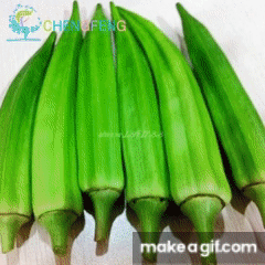 okra on Make a GIF