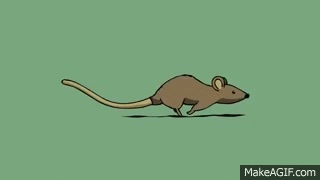 Little Rat Run cycle using ToonBoom Animation on Make a GIF