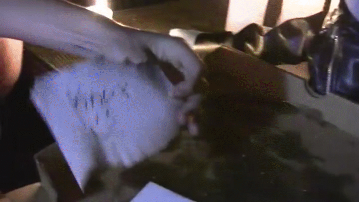 Sonic Plush Adventures Survivee On Make A Gif