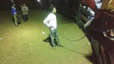 Featured image of post Yippee Gif Funny