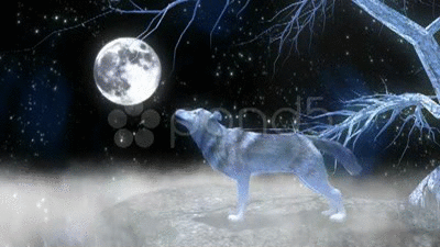 animated wolf howling gif