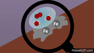 Oxidation Reduction Reaction Animation on Make a GIF