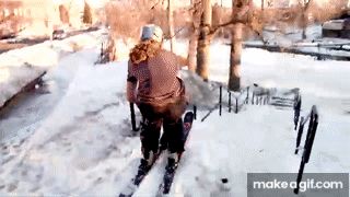 mcSkod.gif