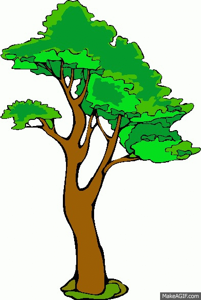  pohon  on Make a GIF 